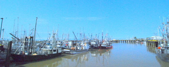 Steveston harbor.JPG